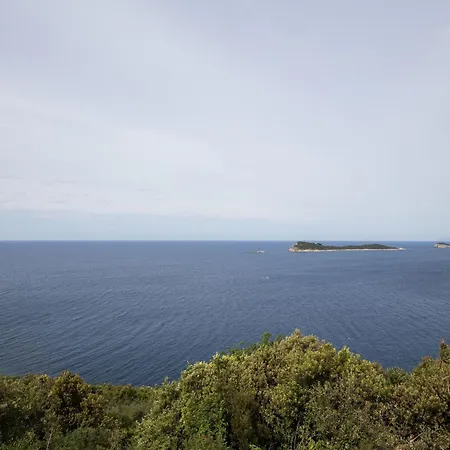 Manuela - Comfort One-bedroom With Terrace And Sea View Διαμέρισμα Cavtat